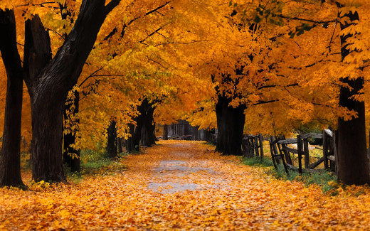 1753972 (a): :1920x1200